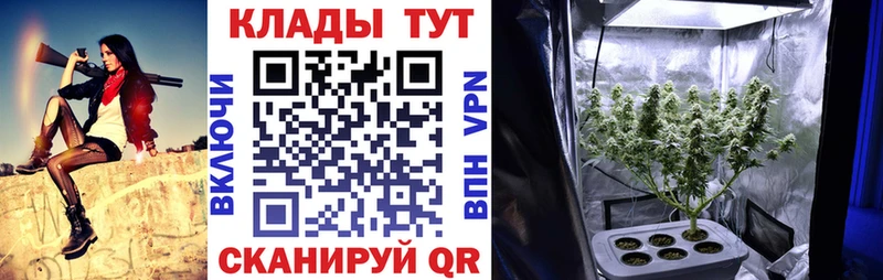 Купить закладку МДМА  КОКАИН  ГАШИШ  Меф  АМФЕТАМИН  Марихуана  СК  Севск